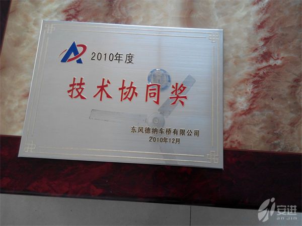 德納2010技術(shù)協(xié)同獎(jiǎng)