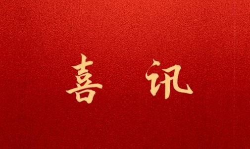 中國（廣西）自由貿易試驗區(qū)欽州港片區(qū)招商服務中心與拓瑞能源集團簽訂戰(zhàn)略合作框架協議